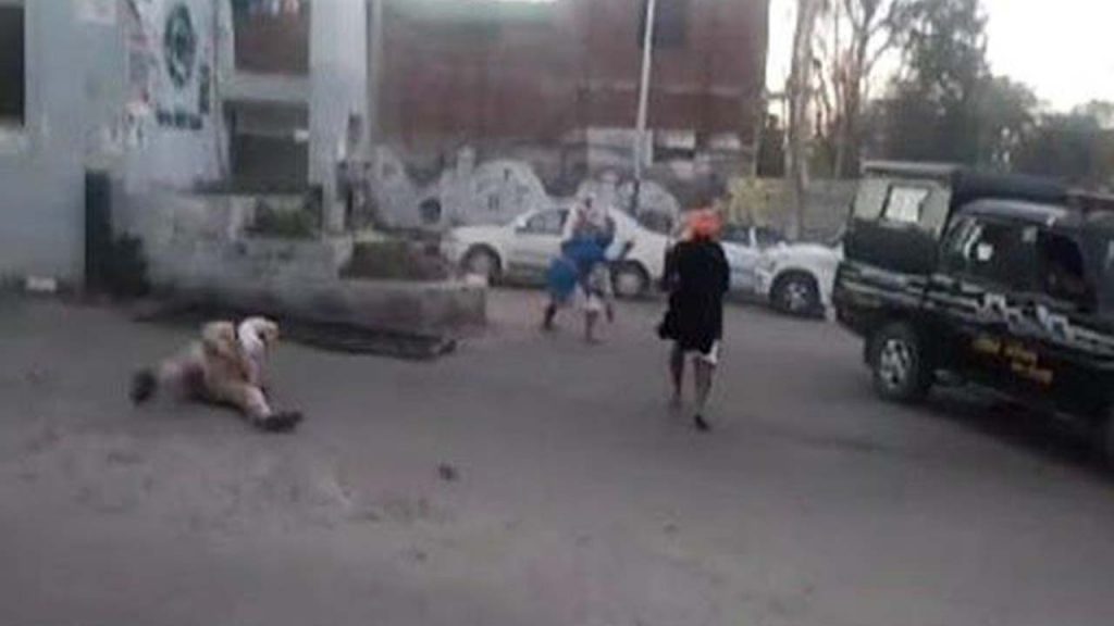 Nihang Sikhs attack Police in Patiala