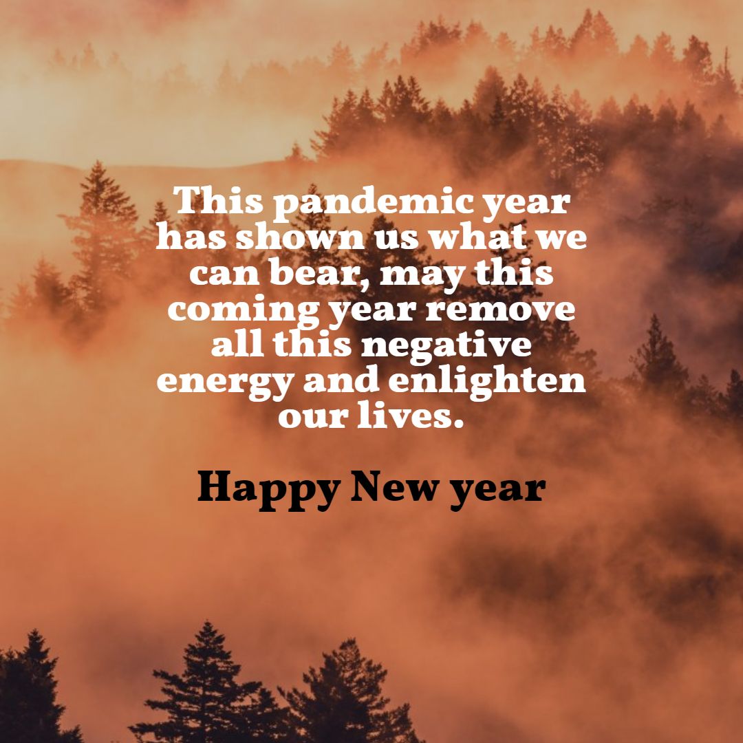 This Pandemic Year 