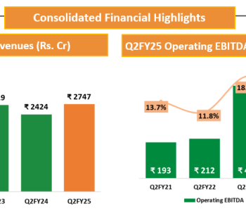 30124_consolidated_fin_highlights_deepak-2