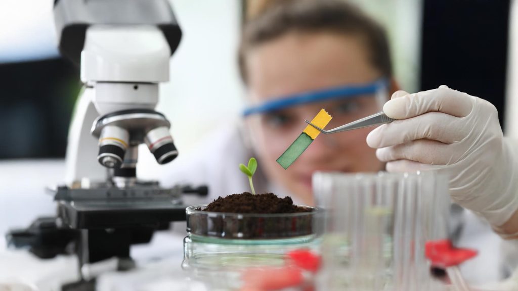 32191_MSc_Biotech_apollo