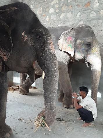 32200_worldanimal0506