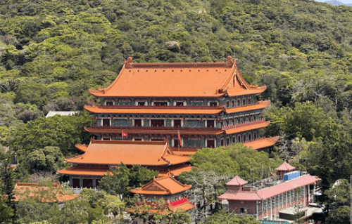 32250_curlytale-image