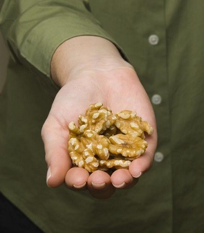 32661_A_handful_of_California_walnuts