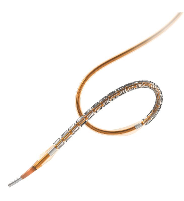 33152_Supraflex_Cruz_Stent