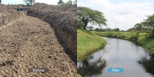 33317_the_art_of_living