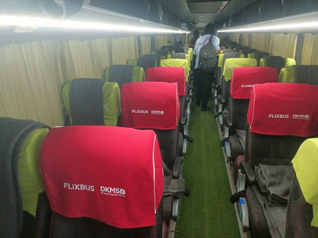 33597_dkmsflix_bustieup