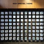 Shapoorji Pallonji Real Estate Unveils the &apos;Coexistence with Flora & Fauna&apos; Mural at VANAHA, Pune