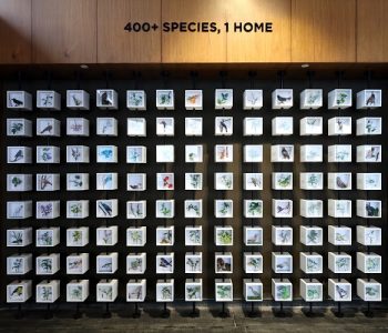 33689_Shapoorji_Pallonji_VANAHA_Installation