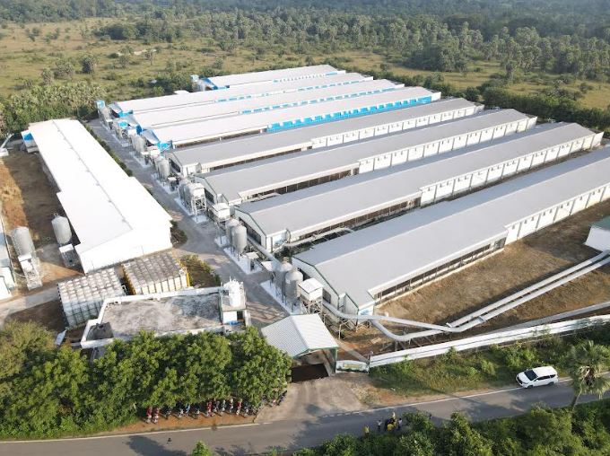 Ovo Farm is Revolutionising the Egg Industry by Using Blockchain Technology Ovo Farm is Revolutionising the Egg Industry by Using Blockchain Technology