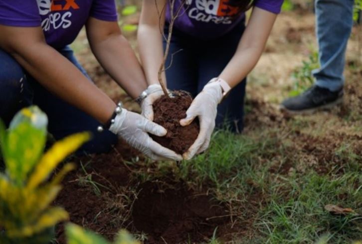 India to Benefit from FedEx’s USD 2 Million Investment in Global Urban Conservation Efforts India to Benefit from FedEx’s USD 2 Million Investment in Global Urban Conservation Efforts