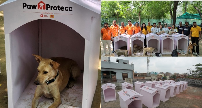 Mars Petcare and Swiggy Instamart Launch Paw Protecc Initiative: Lead the Charge to Safeguard Community Pets During Extended Monsoon Season Mars Petcare and Swiggy Instamart Launch Paw Protecc Initiative: Lead the Charge to Safeguard Community Pets During Extended Monsoon Season
