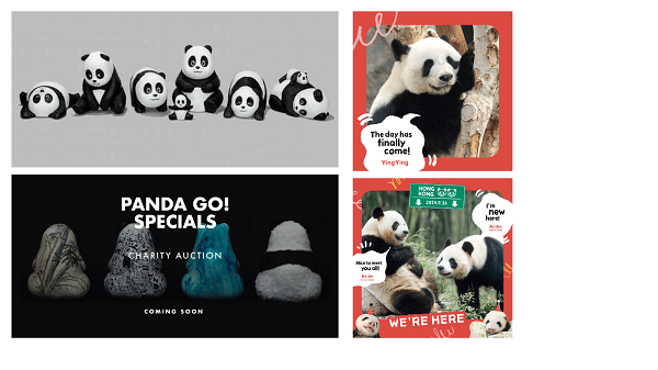 Hong Kong to Host its Largest Panda-themed Exhibition with 2,500 Panda Sculptures on Display at Four Iconic Landmarks Hong Kong to Host its Largest Panda-themed Exhibition with 2,500 Panda Sculptures on Display at Four Iconic Landmarks