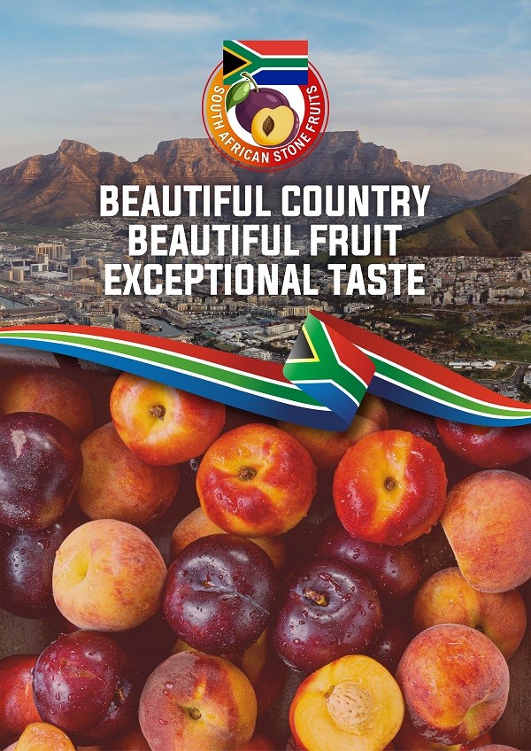 Season’s First South African Stone Fruits Arrive in India – A Feast of Freshness and Flavor Season’s First South African Stone Fruits Arrive in India – A Feast of Freshness and Flavor