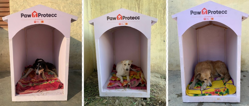 Mars Petcare and Swiggy Instamart Expand Efforts to Provide Winter Shelters for Community Dogs Mars Petcare and Swiggy Instamart Expand Efforts to Provide Winter Shelters for Community Dogs
