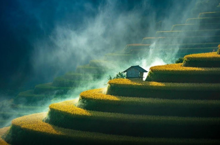 Greenstorm Unveils Winning Images Celebrating Beautiful Wetlands Greenstorm Unveils Winning Images Celebrating Beautiful Wetlands