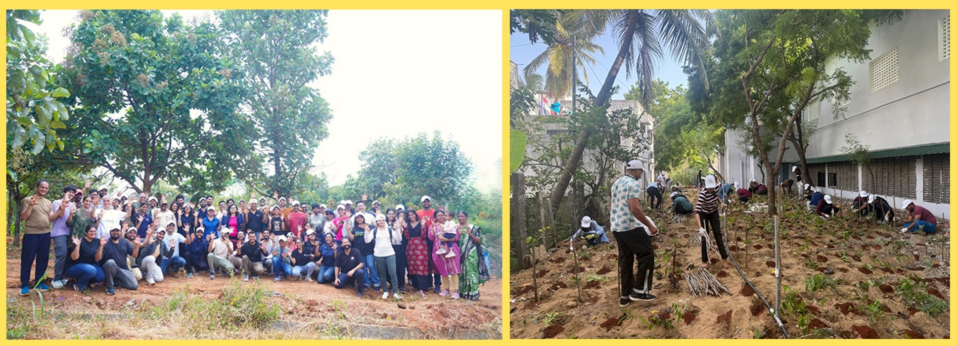 Tiger Analytics and Ruva Foundation Plant 6,000 Saplings in Chennai and Bengaluru to Mark International Ozone Day Tiger Analytics and Ruva Foundation Plant 6,000 Saplings in Chennai and Bengaluru to Mark International Ozone Day