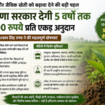 Farmers Adopting Natural and Organic Farming to Get Rs 10,000 Per Acre Subsidy for 5 Years