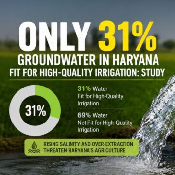 Only 31% Groundwater in Haryana Suitable for High-Quality Irrigation: Study