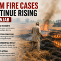 Farm Fire Cases Continue Rising in Punjab
