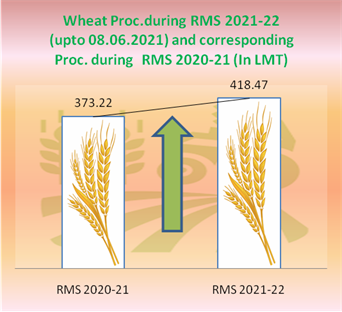 12.12 % more wheat procured this year in comparison to last year’s corresponding period 12.12 % more wheat procured this year in comparison to last year’s corresponding period