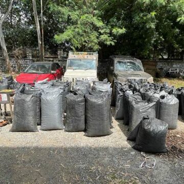 Central Bureau of Narcotics (CBN) seizes more than 1,000 kg poppy straw in operation in Madhya Pradesh Central Bureau of Narcotics (CBN) seizes more than 1,000 kg poppy straw in operation in Madhya Pradesh