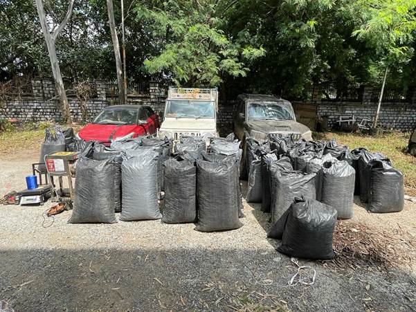 Central Bureau of Narcotics (CBN) seizes more than 1,000 kg poppy straw in operation in Madhya Pradesh Central Bureau of Narcotics (CBN) seizes more than 1,000 kg poppy straw in operation in Madhya Pradesh