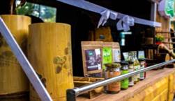 Van Dhan Vikas Kendras playing a pivotal role in turning around the Rural tribal forest economy Van Dhan Vikas Kendras playing a pivotal role in turning around the Rural tribal forest economy