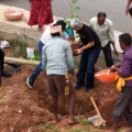 Bloom Avenue: A Year-Round Flower Corridor on Bengaluru's Major Arterial Road in Kempegowda Layout