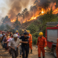 350 Devotees Rescued After Forest Fire Erupts in Bangoa Area