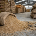Audit observations raise concerns over storage management, inventory monitoring, and uncollected market fees at Kartarpur warehouse.
