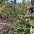 Forest watchers