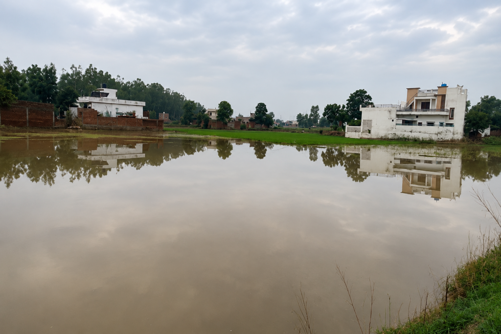 Floodwater covers agricultural land near Sathiali village after a breach in the Upper Bari Doab Canal, threatening paddy crops and surrounding areas.