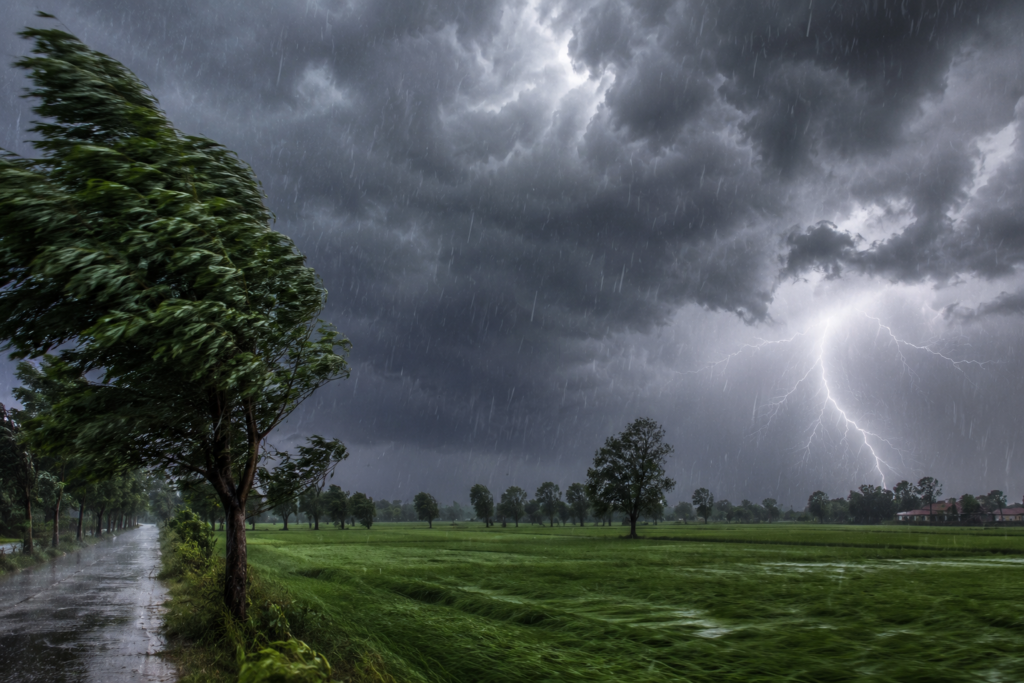 Stormy weather over Punjab fields with dark clouds, heavy rain, strong winds, and lightning in the distance.