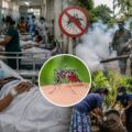Hospitals operate beyond capacity as dengue infections surge and authorities deploy a military-led monitoring unit