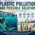 Plastic Pollution and Possible Solutions
