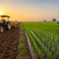 Crop diversification remains a major challenge despite government initiatives