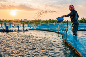 aquaculture farm