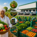 modren agriculture and fresh produce
