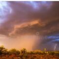monsoon preparedness