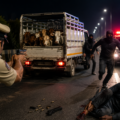 Cattle Smuggling