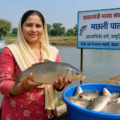 From kitchen to fish pond, Rohtak woman turns fish farming into a Rs 20 lakh business