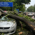 Tree falls on a car outside Delhi's National Heart Institute, causing vehicle damage and traffic disruption as authorities clear the road after bad weather.