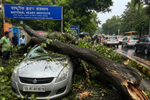 Tree falls on a car outside Delhi's National Heart Institute, causing vehicle damage and traffic disruption as authorities clear the road after bad weather.