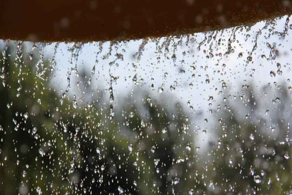 resized_1536x1024(11) Monsoon Weakens in Haryana, Humid Weather to Persist; Light Rain Likely in Northern Districts