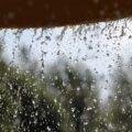Monsoon Weakens in Haryana, Humid Weather to Persist; Light Rain Likely in Northern Districts