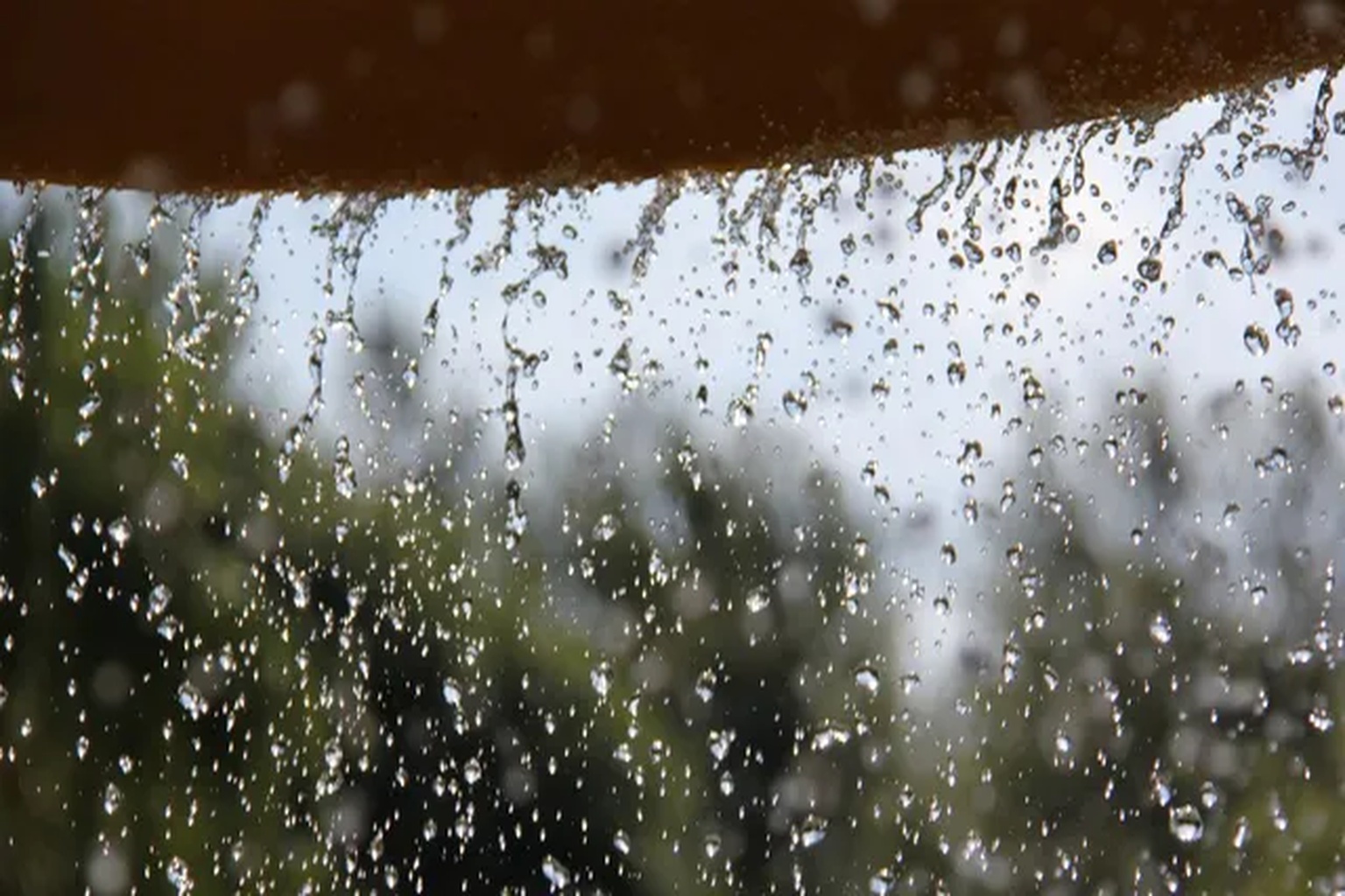resized_1536x1024(11) Monsoon Weakens in Haryana, Humid Weather to Persist; Light Rain Likely in Northern Districts